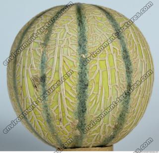 Melon Galia 0010